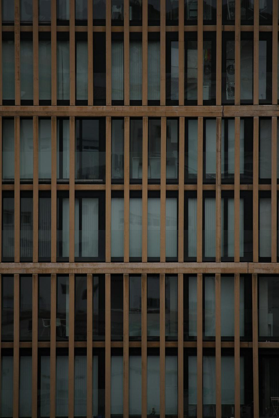 Mass Timber Office